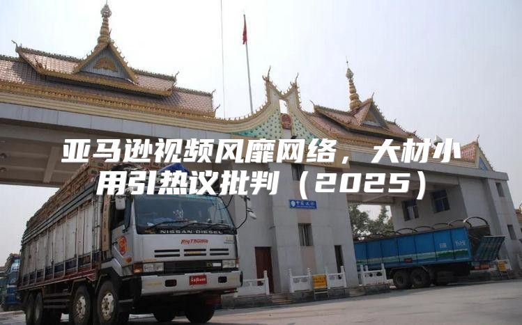 亚马逊视频风靡网络，大材小用引热议批判2025