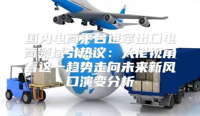 国内电商平台进军出口电商领域引热议：大佬视角看这一趋势走向未来新风口演变分析