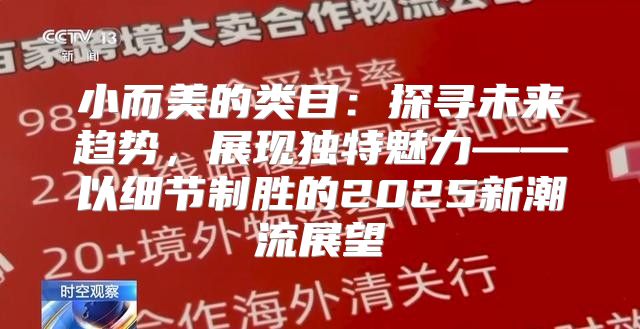 小而美的类目：探寻未来趋势，展现独特魅力——以细节制胜的2025新潮流展望
