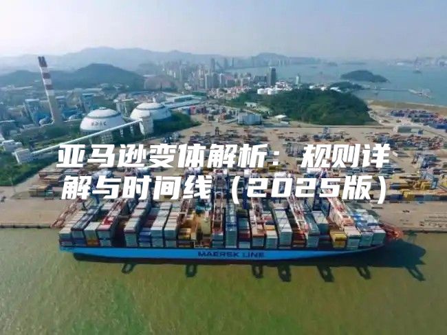 亚马逊变体解析：规则详解与时间线2025版