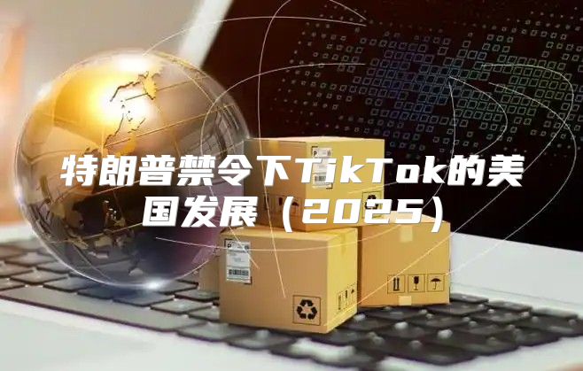 特朗普禁令下TikTok的美国发展2025