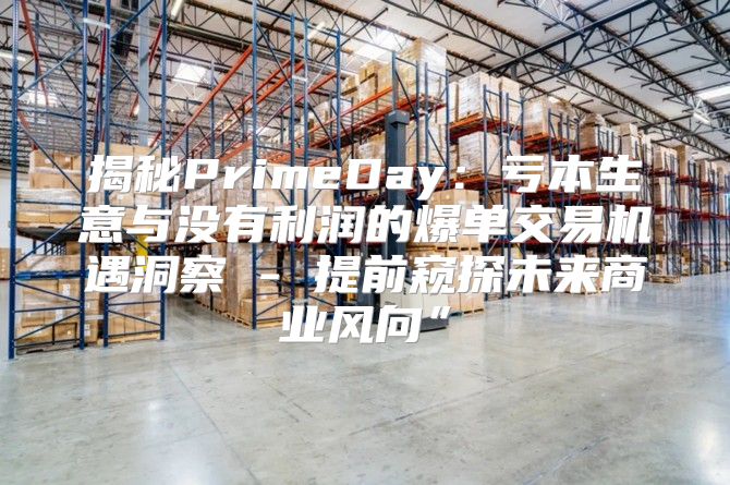 揭秘PrimeDay：亏本生意与没有利润的爆单交易机遇洞察 - 提前窥探未来商业风向”