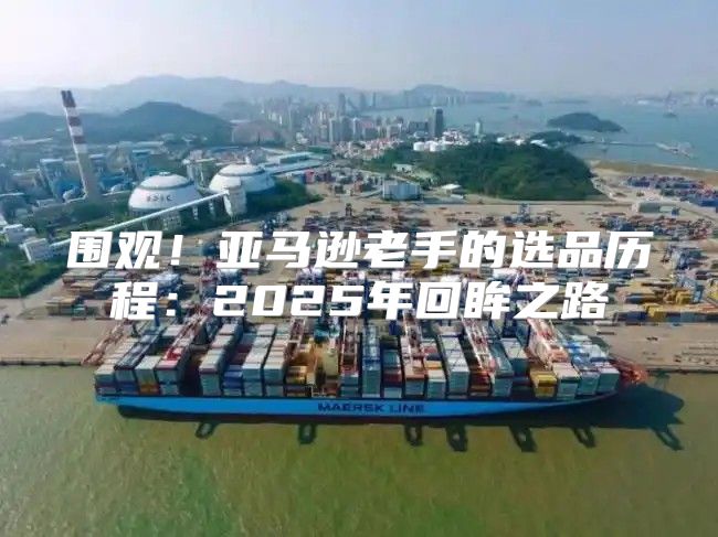 围观！亚马逊老手的选品历程：2025年回眸之路