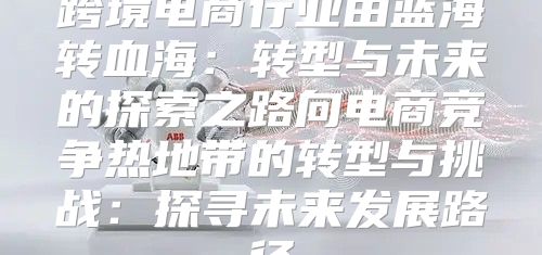 跨境电商行业由蓝海转血海：转型与未来的探索之路向电商竞争热地带的转型与挑战：探寻未来发展路径
