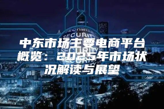 中东市场主要电商平台概览：2025年市场状况解读与展望