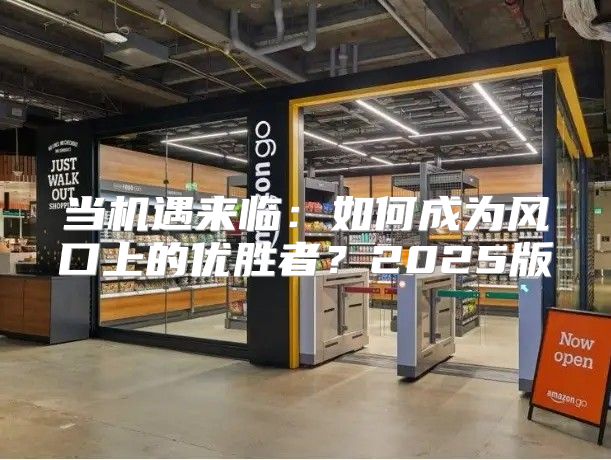 当机遇来临：如何成为风口上的优胜者？2025版