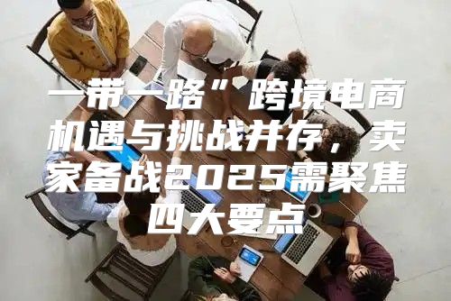 一带一路”跨境电商机遇与挑战并存，卖家备战2025需聚焦四大要点