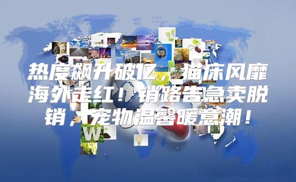 热度飙升破亿，猫床风靡海外走红！销路告急卖脱销，宠物温馨暖意潮！