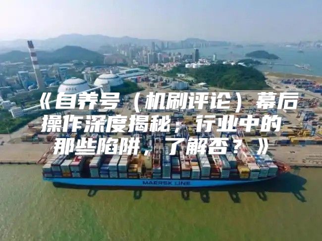 自养号机刷评论幕后操作深度揭秘，行业中的那些陷阱，了解否？