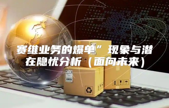 赛维业务的爆单”现象与潜在隐忧分析面向未来