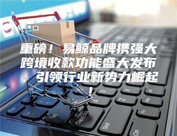 重磅！易鲸品牌携强大跨境收款功能盛大发布，引领行业新势力崛起！