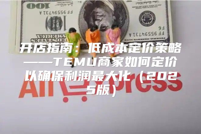 开店指南：低成本定价策略——TEMU商家如何定价以确保利润最大化2025版