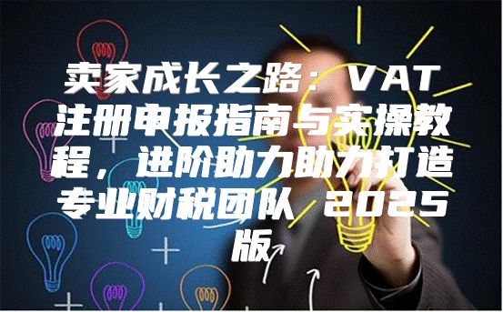 卖家成长之路：VAT注册申报指南与实操教程，进阶助力助力打造专业财税团队 2025版