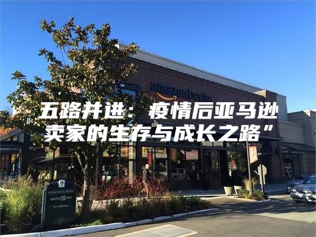 五路并进：疫情后亚马逊卖家的生存与成长之路”