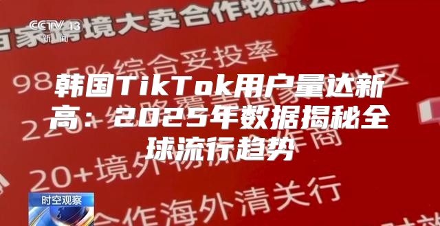 韩国TikTok用户量达新高：2025年数据揭秘全球流行趋势