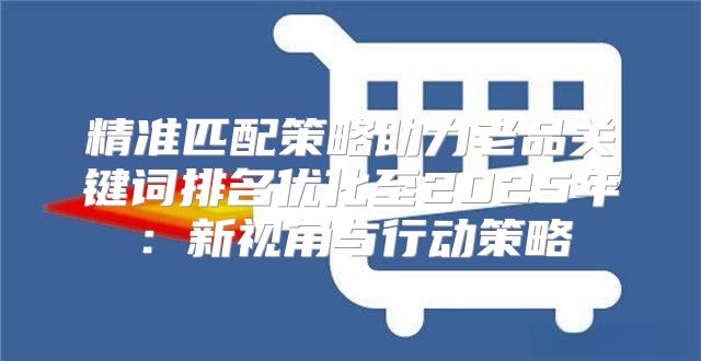 精准匹配策略助力老品关键词排名优化至2025年：新视角与行动策略