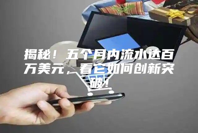 揭秘！五个月内流水达百万美元，看它如何创新突破！