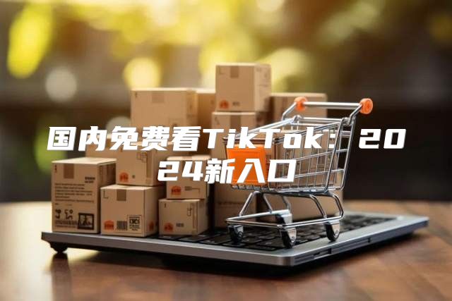 国内免费看TikTok：2025新入口