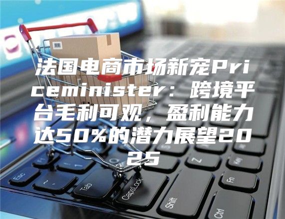 法国电商市场新宠Priceminister：跨境平台毛利可观，盈利能力达50%的潜力展望2025