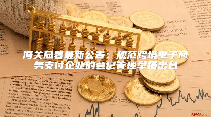 海关总署最新公告：规范跨境电子商务支付企业的登记管理举措出台