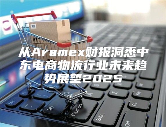 从Aramex财报洞悉中东电商物流行业未来趋势展望2025