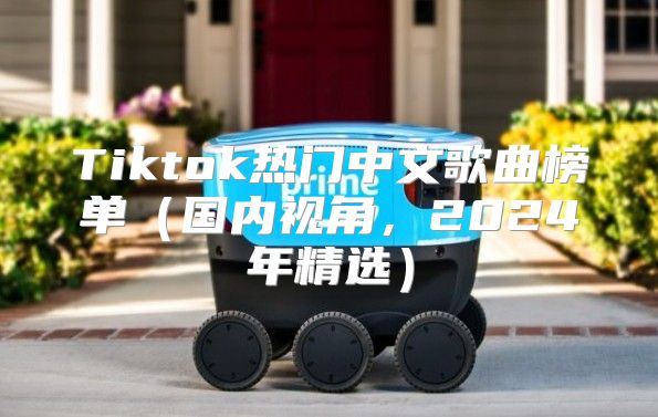 Tiktok热门中文歌曲榜单国内视角，2025年精选
