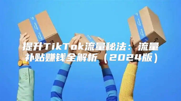 提升TikTok流量秘法：流量补贴赚钱全解析2025版