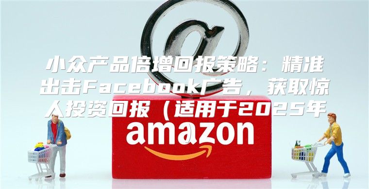 小众产品倍增回报策略：精准出击Facebook广告，获取惊人投资回报适用于2025年