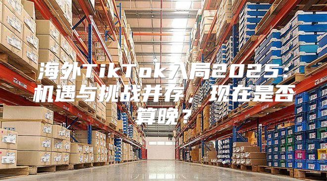 海外TikTok入局2025机遇与挑战并存，现在是否算晚？