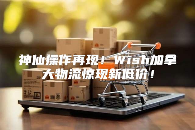 神仙操作再现！Wish加拿大物流惊现新低价！