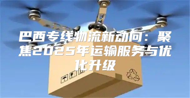 巴西专线物流新动向：聚焦2025年运输服务与优化升级