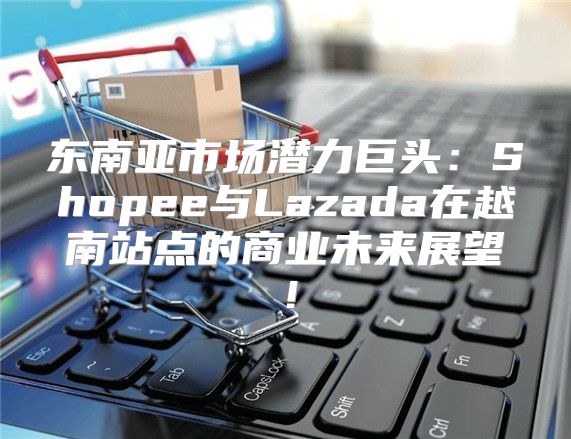 东南亚市场潜力巨头：Shopee与Lazada在越南站点的商业未来展望！
