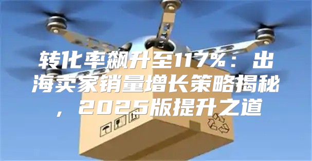 转化率飙升至117%：出海卖家销量增长策略揭秘，2025版提升之道