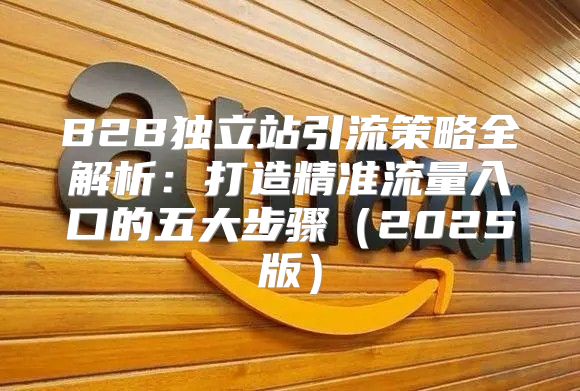 B2B独立站引流策略全解析：打造精准流量入口的五大步骤2025版
