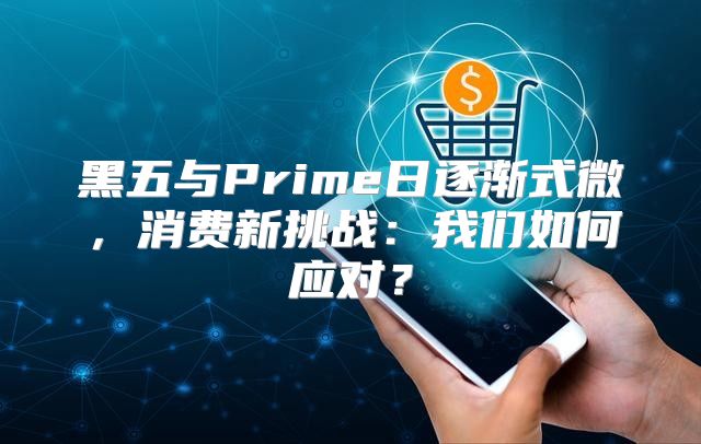 黑五与Prime日逐渐式微，消费新挑战：我们如何应对？