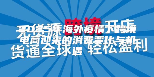 2025年海外疫情下跨境电商迎来的消费变化与机遇