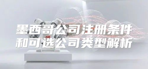 墨西哥公司注册条件和可选公司类型解析