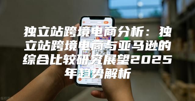 独立站跨境电商分析：独立站跨境电商与亚马逊的综合比较研究展望2025年趋势解析