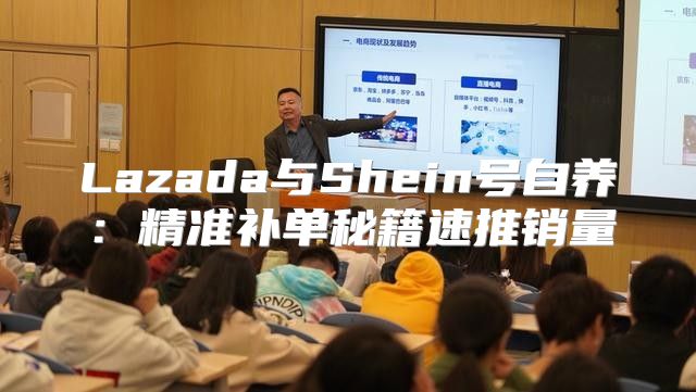 Lazada与Shein号自养：精准补单秘籍速推销量