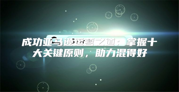 成功亚马逊运营之道：掌握十大关键原则，助力混得好