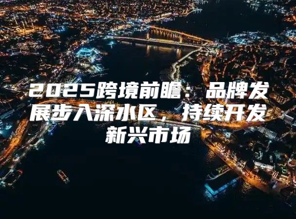 2025跨境前瞻：品牌发展步入深水区，持续开发新兴市场