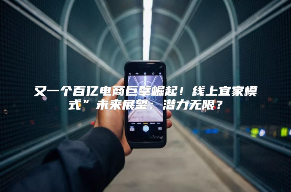 又一个百亿电商巨擘崛起！线上宜家模式”未来展望：潜力无限？