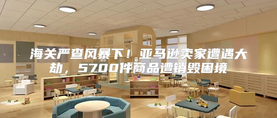 海关严查风暴下！亚马逊卖家遭遇大劫，5700件商品遭销毁困境