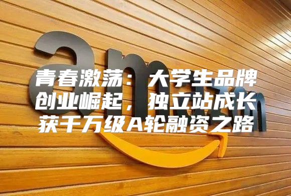 青春激荡：大学生品牌创业崛起，独立站成长获千万级A轮融资之路