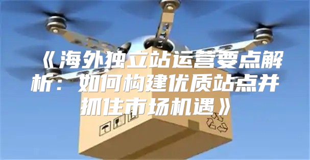 海外独立站运营要点解析：如何构建优质站点并抓住市场机遇
