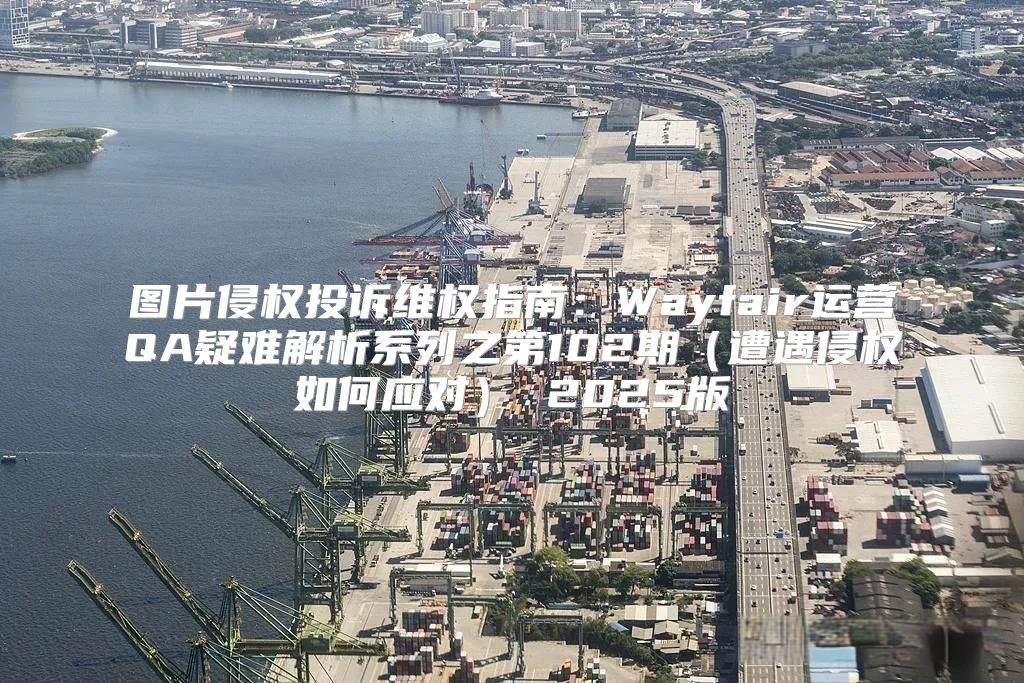图片侵权投诉维权指南：Wayfair运营QA疑难解析系列之第102期遭遇侵权如何应对 2025版