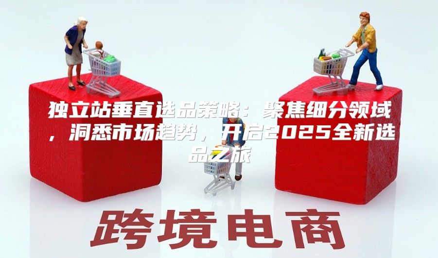 独立站垂直选品策略：聚焦细分领域，洞悉市场趋势，开启2025全新选品之旅