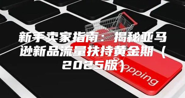 新手卖家指南：揭秘亚马逊新品流量扶持黄金期2025版