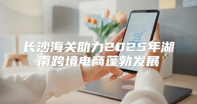 长沙海关助力2025年湖南跨境电商蓬勃发展