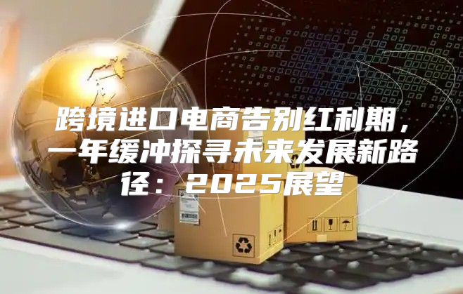 跨境进口电商告别红利期，一年缓冲探寻未来发展新路径：2025展望